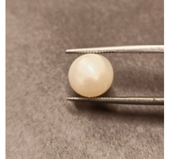 South-Sea Pearl 6.23ct.