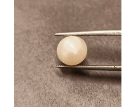 South-Sea Pearl 6.23ct.@400 per. ct. (Premium)