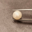 South-Sea Pearl 6.23ct.@400 per. ct. (Premium)