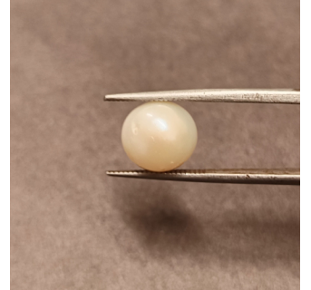 South-Sea Pearl 6.25ct.@400 per. ct. (Premium)