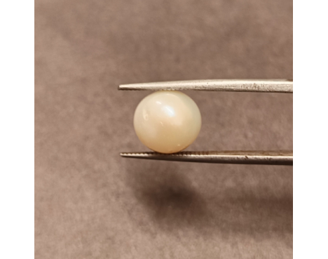 South-Sea Pearl 6.25ct.@400 per. ct. (Premium)