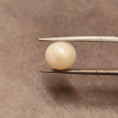 South-Sea Pearl 6.25ct.@400 per. ct. (Premium)