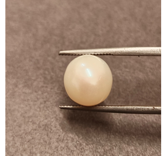 South-Sea Pearl 6.85ct.@400 per. ct. (Premium)