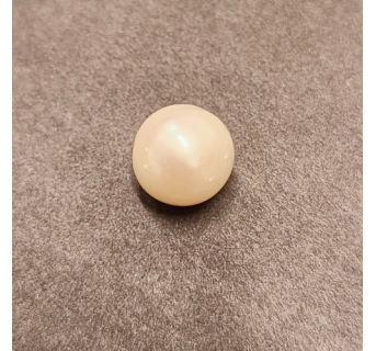 South-Sea Pearl 7.35ct.