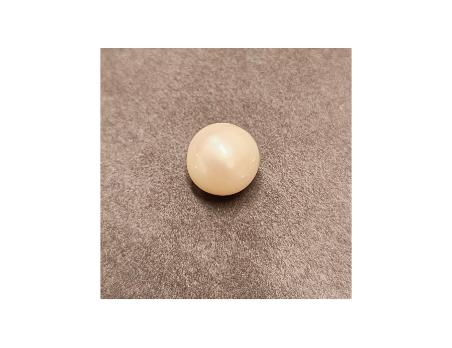 South-Sea Pearl 7.35ct.@400 per. ct. (Premium)