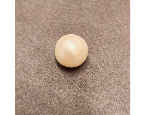 South-Sea Pearl 7.35ct.