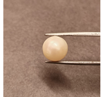 South-Sea Pearl 7.35ct.@400 per. ct. (Premium)