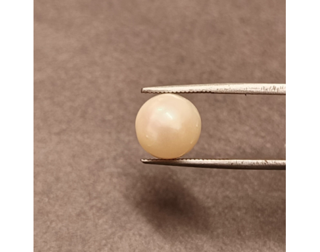South-Sea Pearl 7.35ct.@400 per. ct. (Premium)