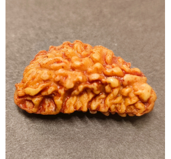 1 Mukhi Rudraksha 3.590g.