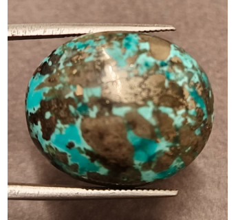 Turquoise (Firoza) - 29.22ct. @800per. ct. (Luxury)