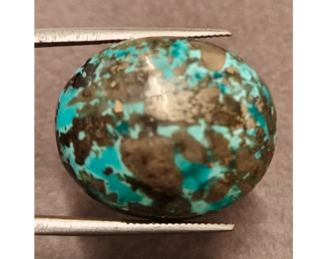 Turquoise (Firoza) - 29.22ct. @800per. ct. (Luxury)