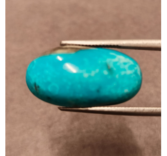 Turquoise (Firoza) - 16.04ct. @500per. ct. (Luxury)