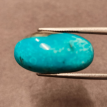 Turquoise (Firoza) - 16.04ct. @500per. ct. (Luxury)