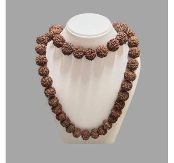 5 Mukhi Rudraksha Mala 54 Beads