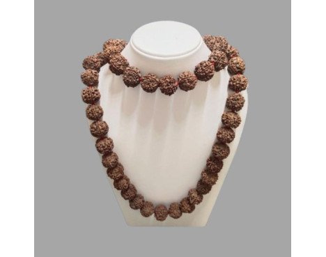 5 Mukhi Rudraksha Mala 54 Beads