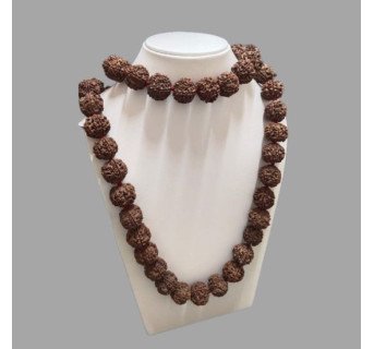 5 Mukhi Rudraksha Mala 54 Beads