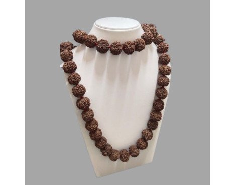 5 Mukhi Rudraksha Mala 54 Beads