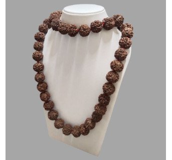 5 Mukhi Rudraksha Mala 54 Beads