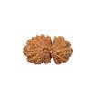Gauri Shankar Rudraksha