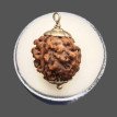 4 Mukhi Rudraksha - 4.176 g.