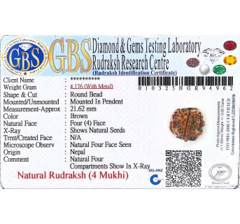 4 Mukhi Rudraksha - 4.176 g.