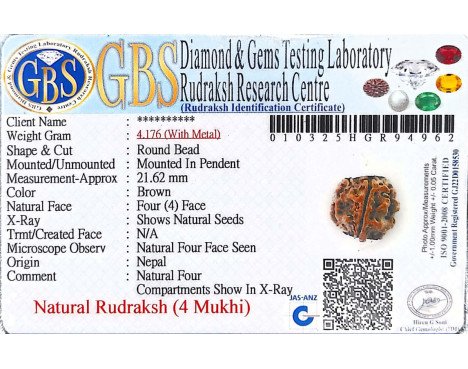 4 Mukhi Rudraksha - 4.176 g.