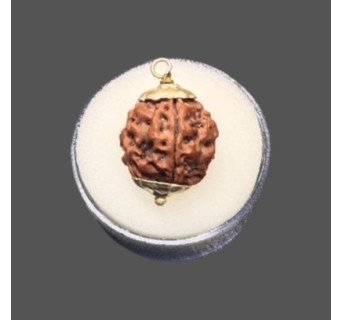 4 Mukhi Rudraksha