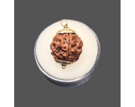 4 Mukhi Rudraksha