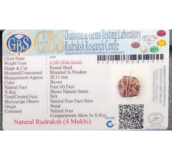 4 Mukhi Rudraksha - 4.189 g.