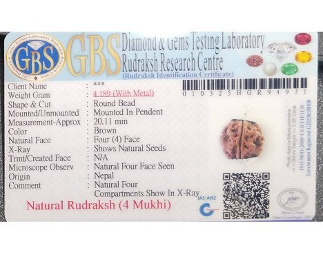 4 Mukhi Rudraksha - 4.189 g.