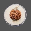 6 Mukhi Rudraksha - 4.475 g.