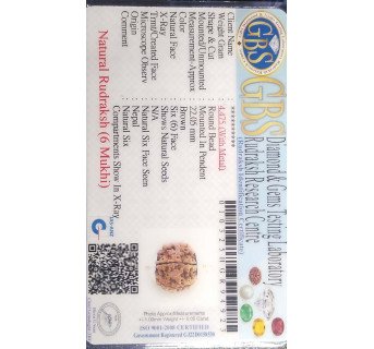 5 Mukhi Rudraksha
