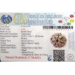 7 Mukhi Rudraksha - 3.269 g.