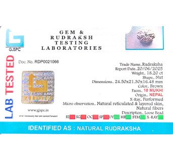 10 Mukhi Rudraksha