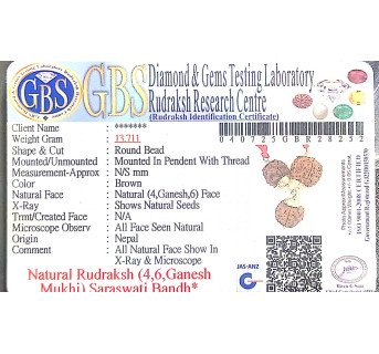 Saraswati Bandh -13.711g.