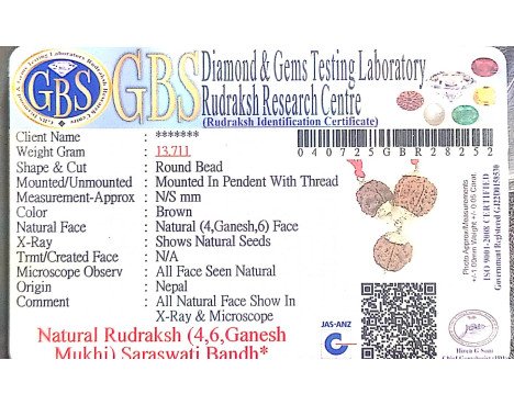 Saraswati Bandh -13.711g.