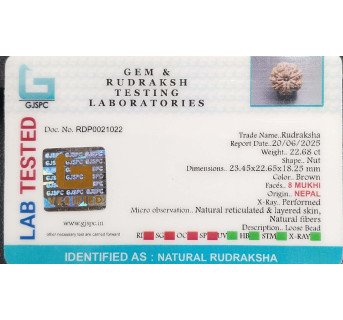 10 Mukhi Rudraksha