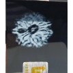 8 Mukhi Rudraksha - 4.536 g.
