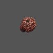 Ganesh Rudraksha - 3.690 g.