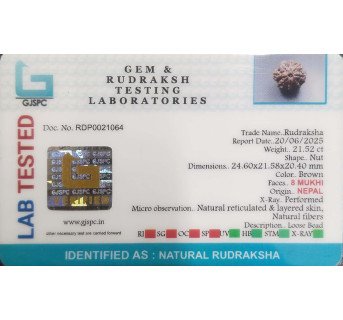 10 Mukhi Rudraksha