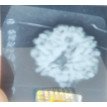 8 Mukhi Rudraksha - 4.304g.
