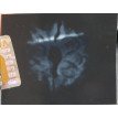 8 Mukhi Rudraksha - 3.060g.