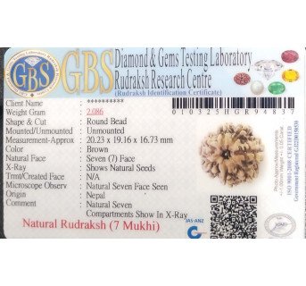 7 Mukhi Rudraksha
