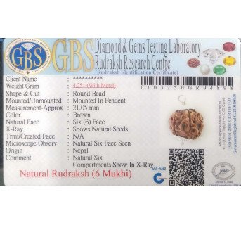 6 Mukhi Rudraksha - 4.251 g.