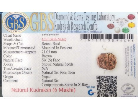 6 Mukhi Rudraksha - 4.251 g.