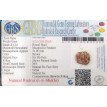 6 Mukhi Rudraksha - 4.251 g.