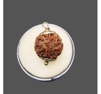 5 Mukhi Rudraksha
