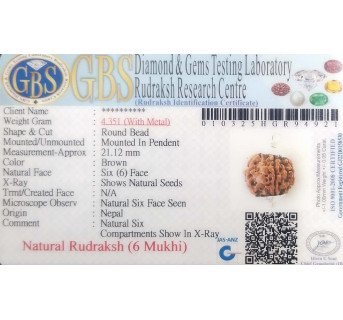 6 Mukhi Rudraksha - 4.351 g.