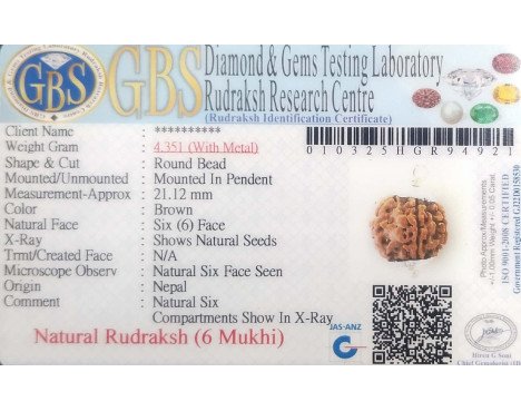 6 Mukhi Rudraksha - 4.351 g.
