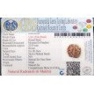 6 Mukhi Rudraksha - 5.085 g.